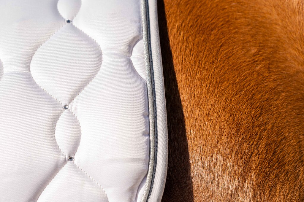 Competition Dressage Saddle Cloth White - Elegant Dressage Saddle Pad