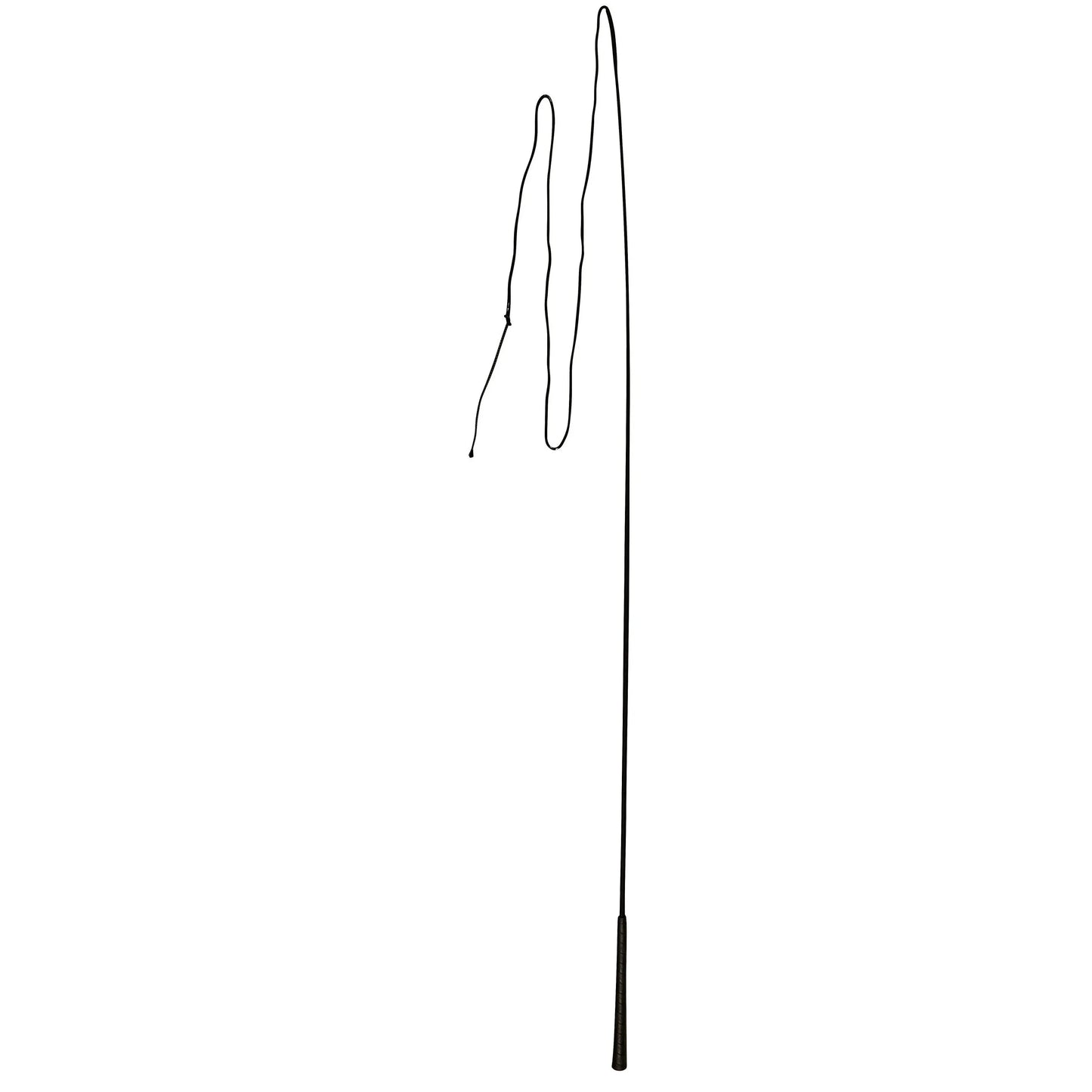 Fibreglass Lunging Whip - 180cm