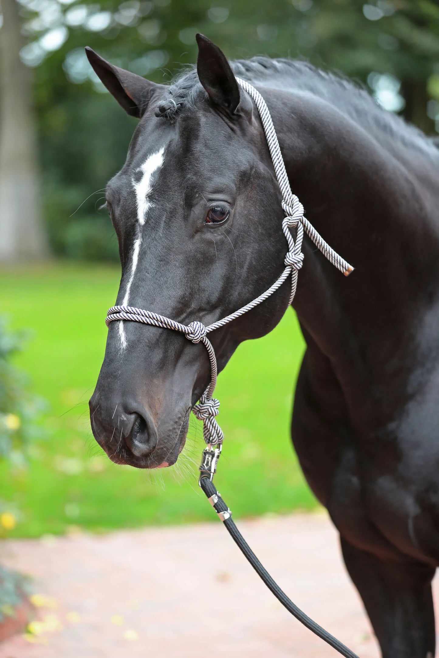 Knotted Horse Halter - Rope Training Headcollar