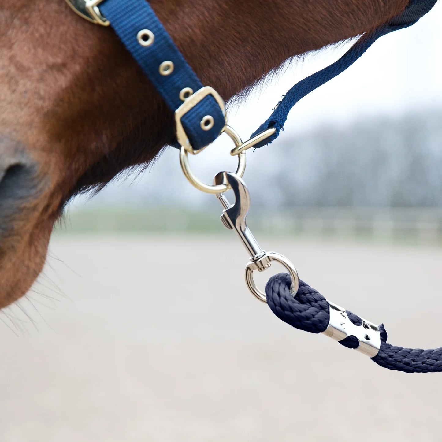 Horse Lead Rope with Snap Buckle