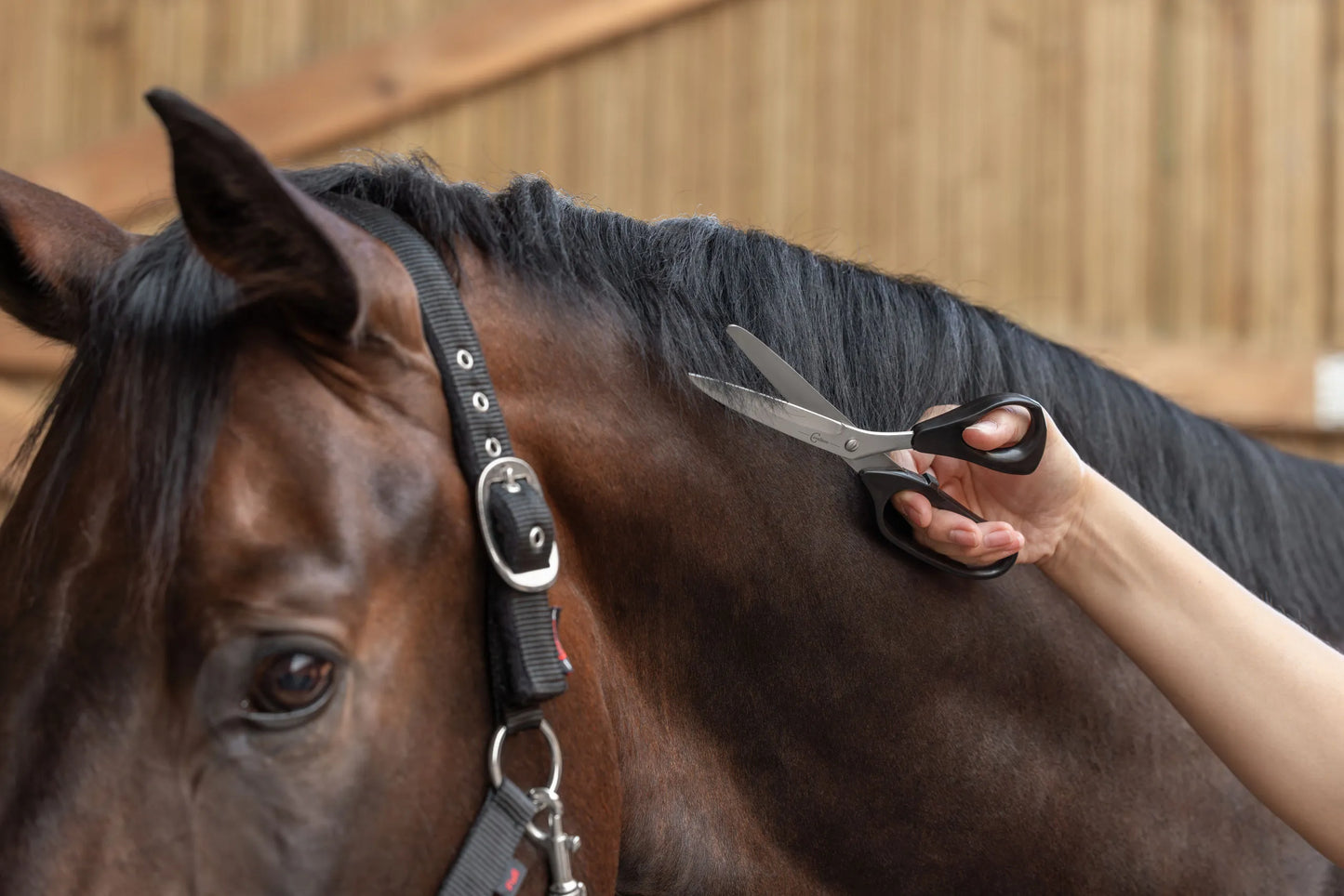 Universal & Mane Scissors - Horse Grooming Scissors