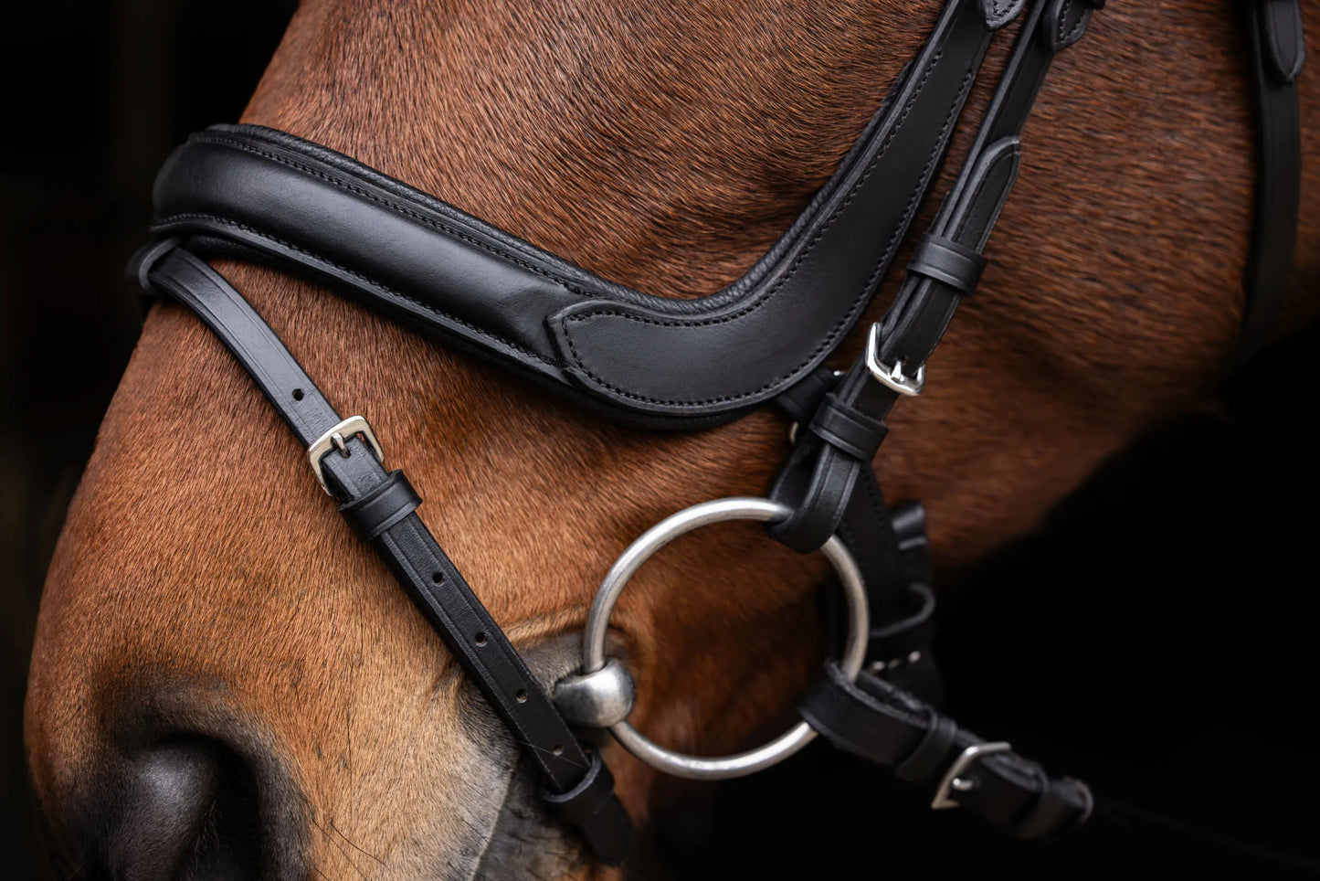 Anatomic Snaffle Bridle - Anatomically Shaped Horse Bridle