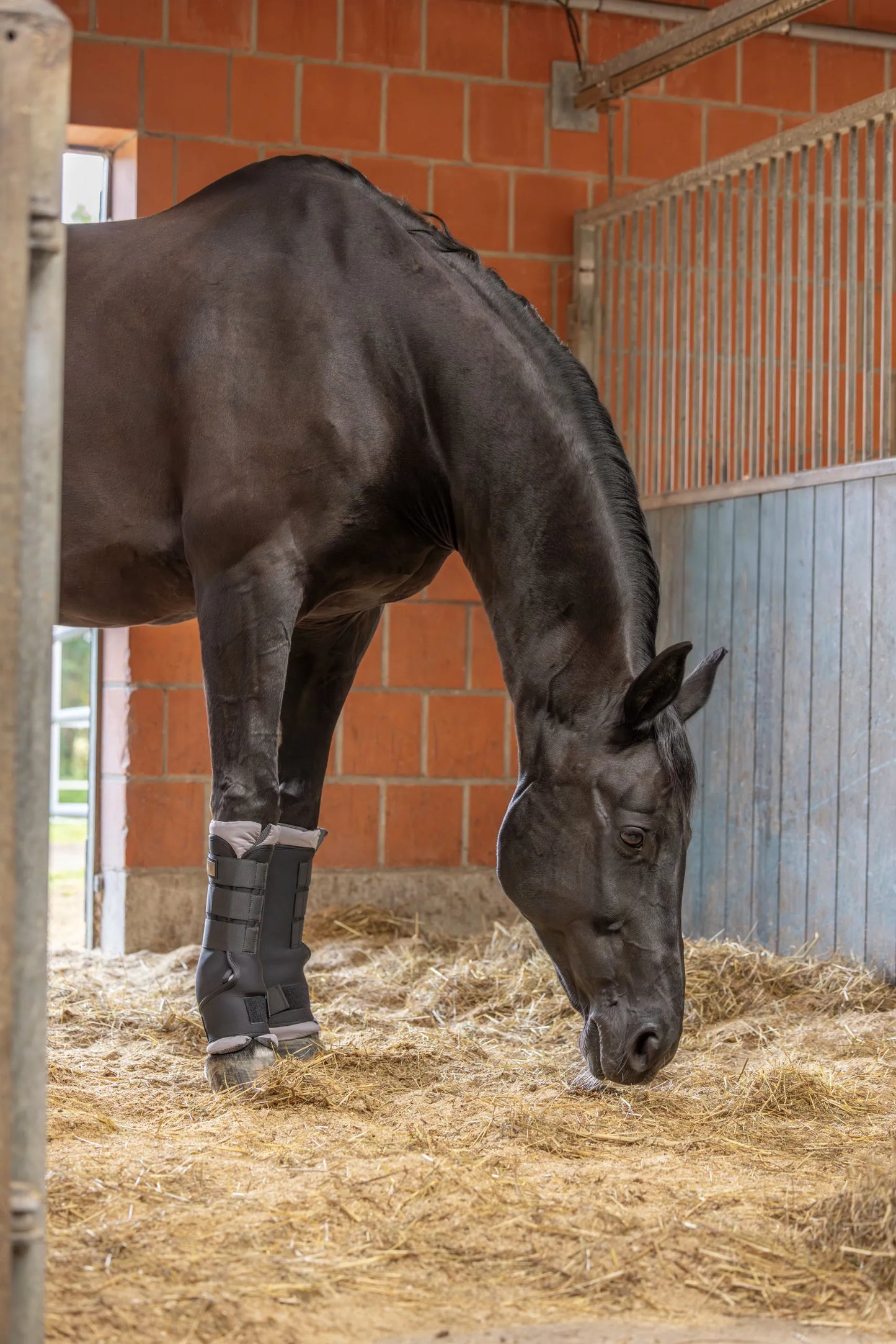 Covalliero Therm Stable Gaiters - Horse Stable Leg Boots