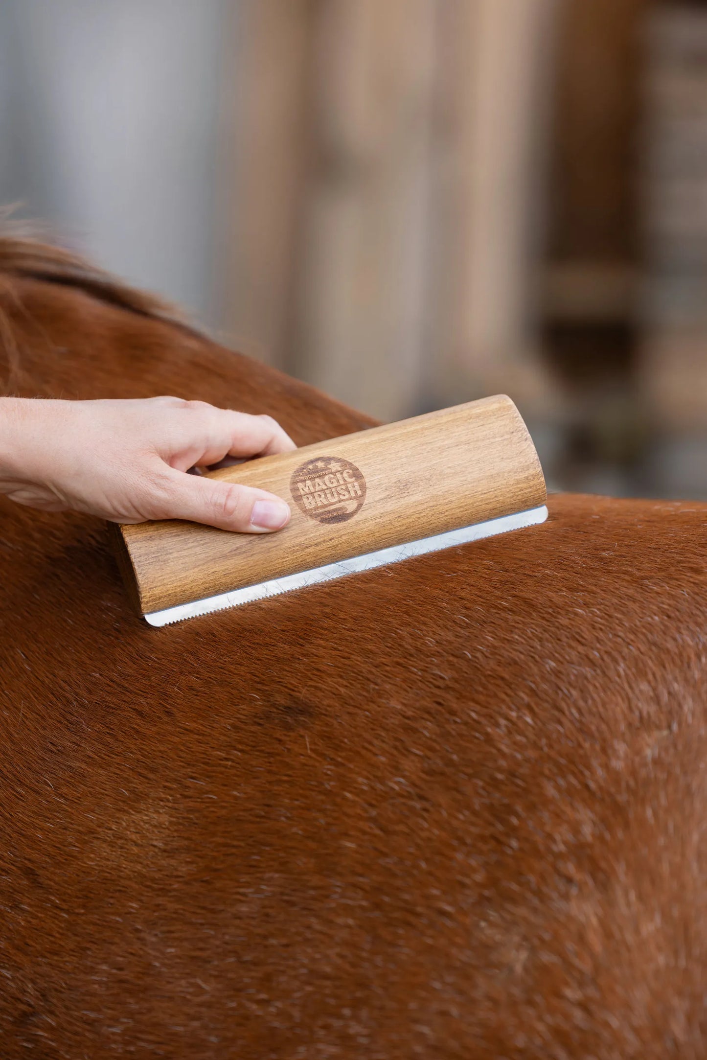 MagicBrush Fellboy - Horse Grooming Brush