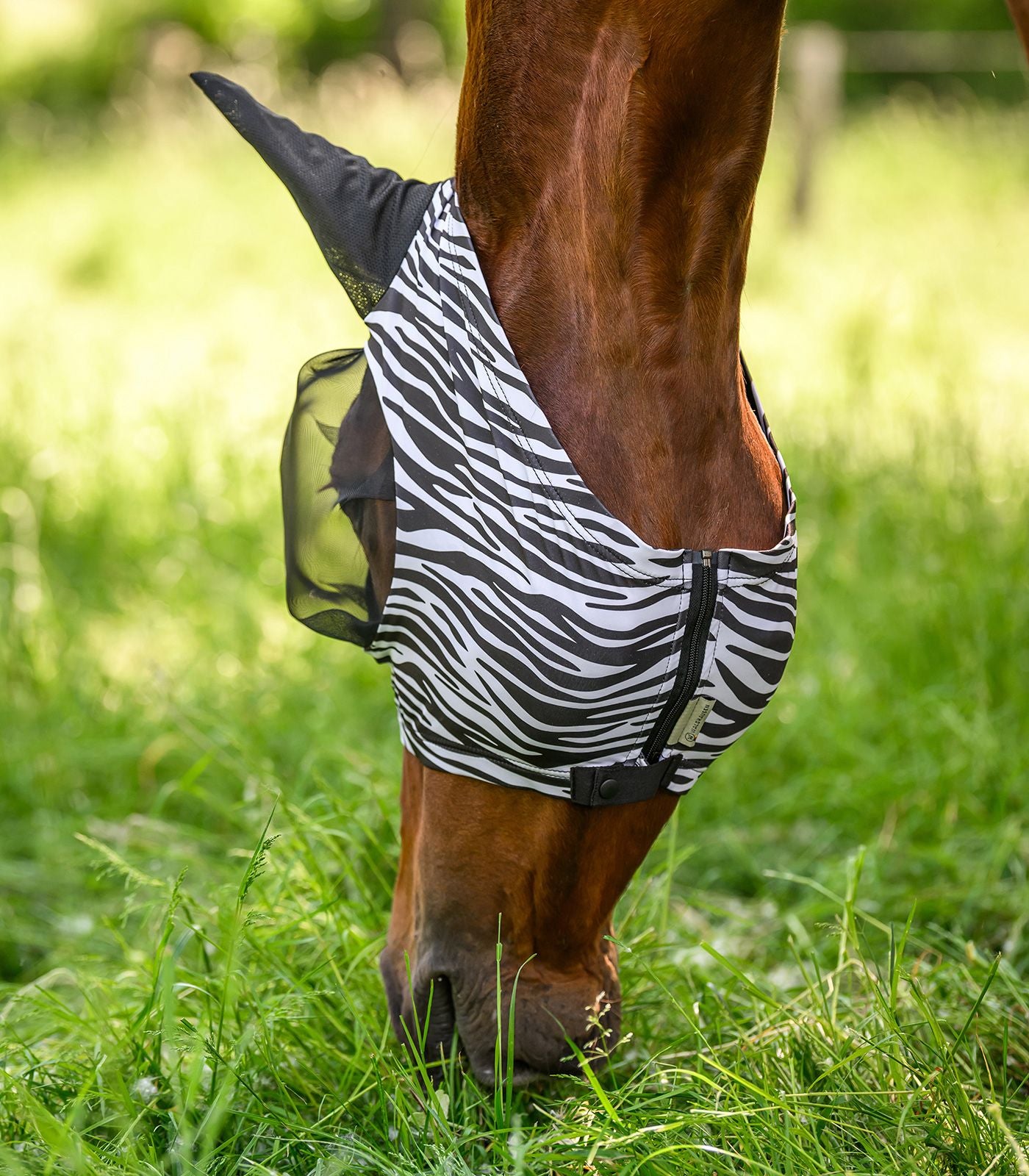 Puck Fly Mask Zebra - Horse Fly Protection Mask