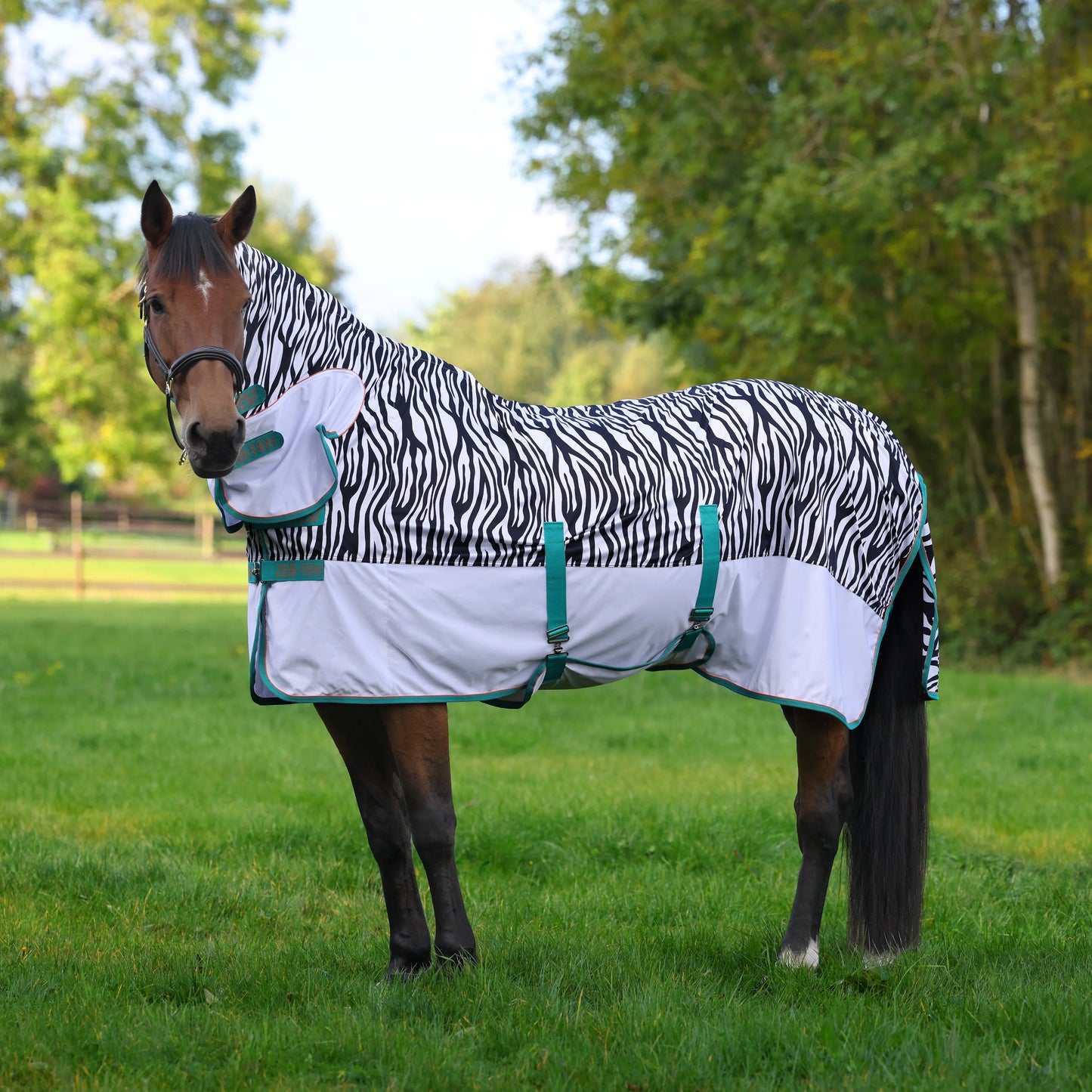 Shires Zeb-Tek Fly Combo Rug - Tempest Original Fly Sheet with Neck