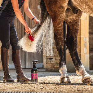 Carr & Day & Martin - Canter | Mane & Tail - 1000ml