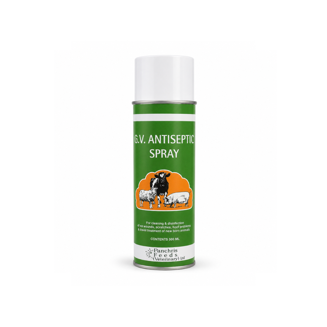 G.V. Antiseptic Spray - 500 ml