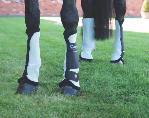 ARMA Fly Boots - Breathable Horse Fly Leg Boots