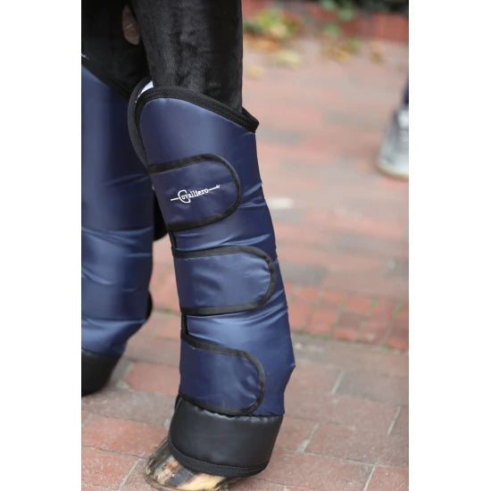 Dexter Horse Transport Gaiters - Full Size, 4-Piece Set
