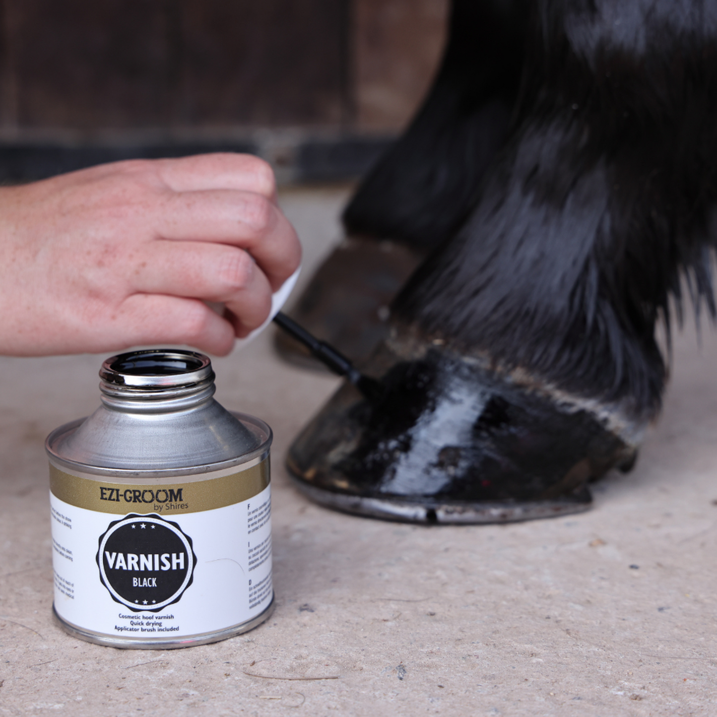 Shires EZI-GROOM Hoof Varnish Black - Horse Hoof Polish