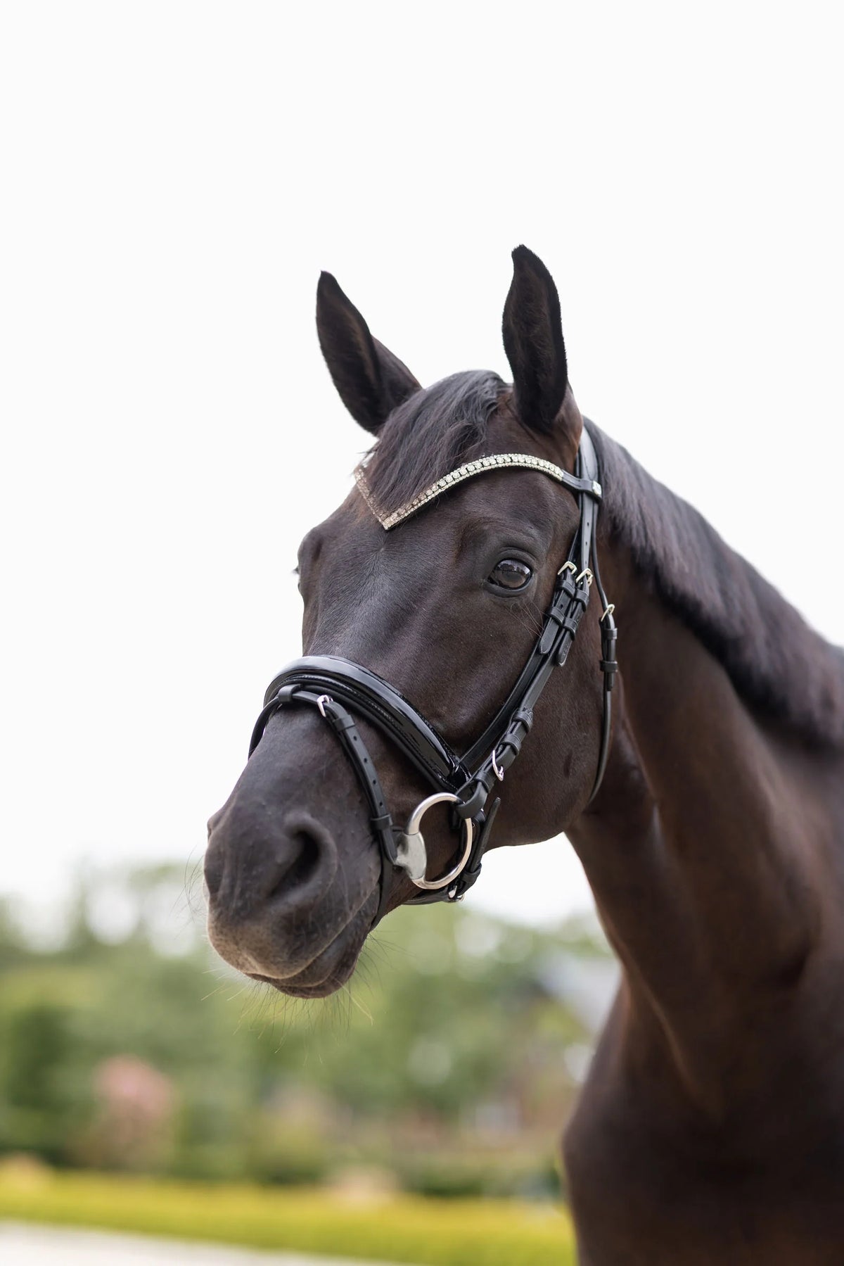 Horze Grayson Anatomic Snaffle Bridle - Ergonomic Horse Bridle