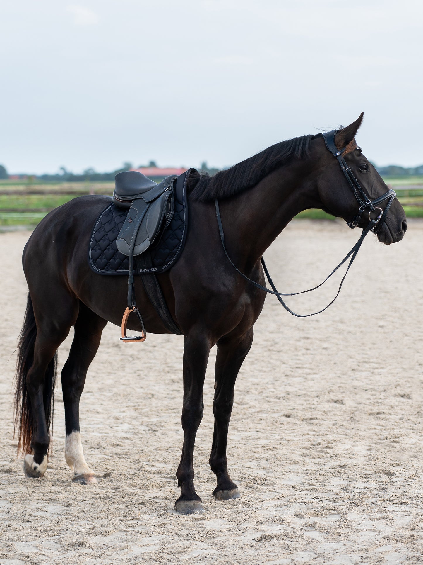 Jump Saddle Pad with Heart Design