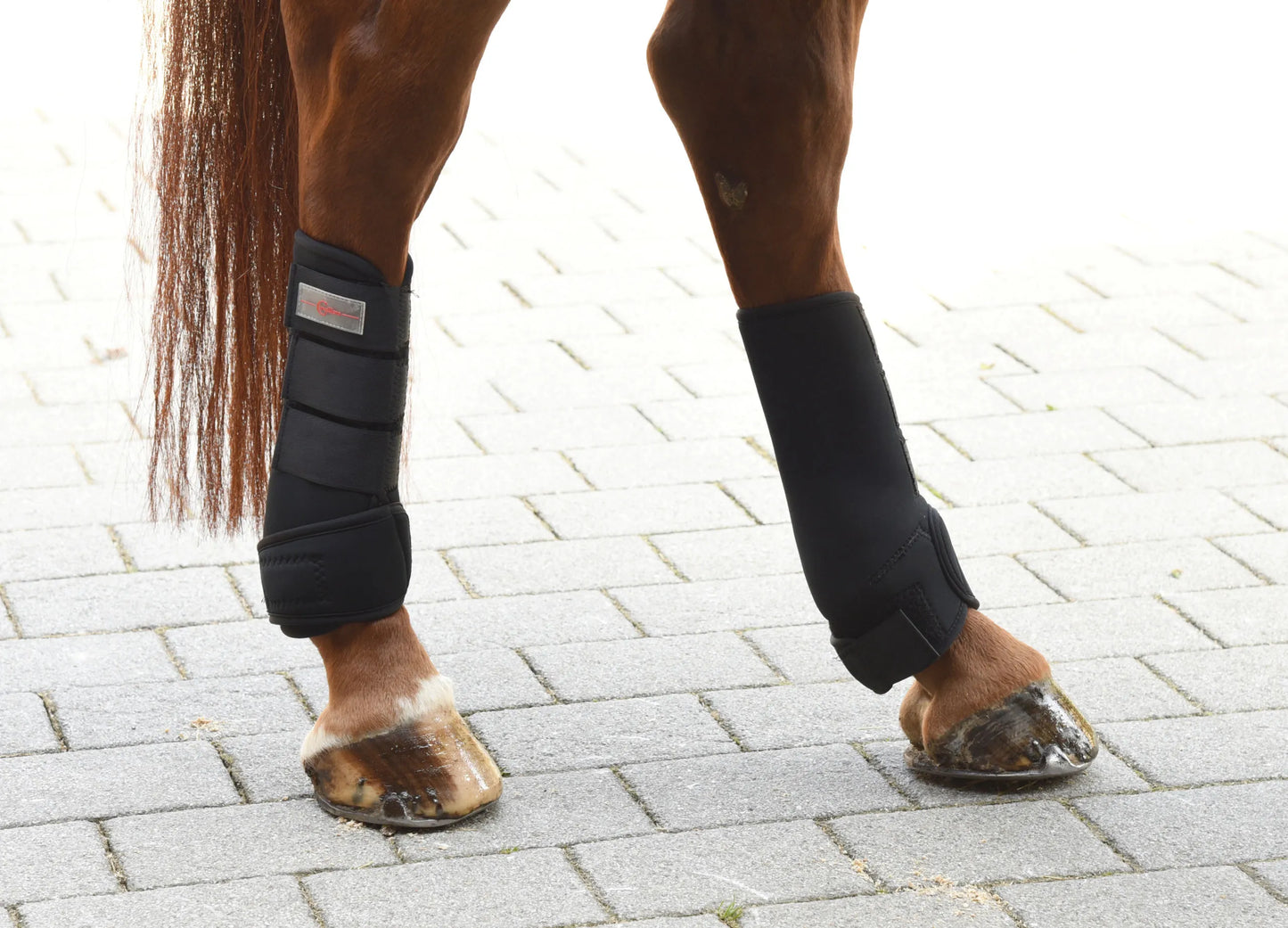 Covalliero Fetlock Gaiters - Horse Fetlock Protection Boots (4pcs)