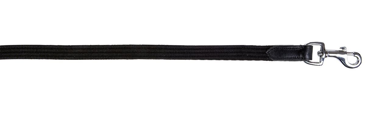 Web Reins with Coloured Loops - Training Horse Reins