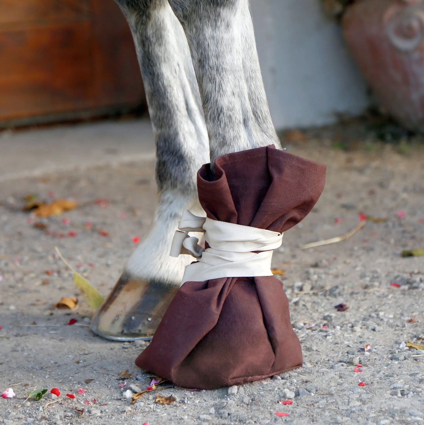 Treatment Shoe for Hooves & Claws - Protective One Size Boot