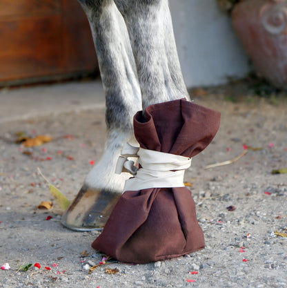 Treatment Shoe for Hooves & Claws - Protective One Size Boot