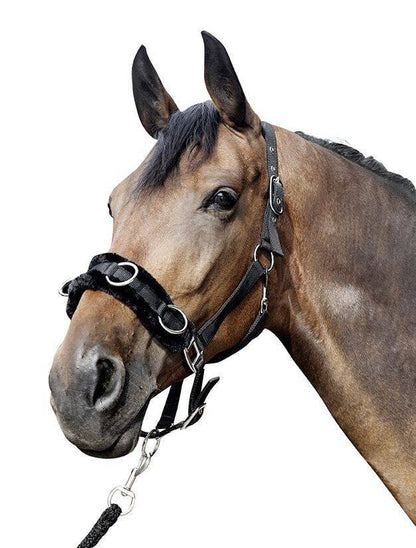 Lunge Cavesson with Plush Padding Full - Padded Horse Training Cavesson
