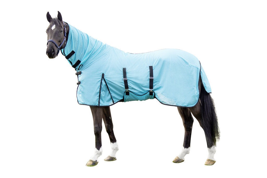 Fly Rug with Neck - Horse Fly Sheet