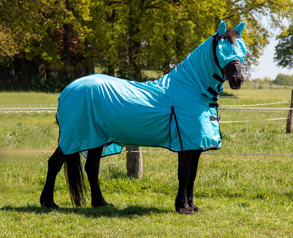 Fly Rug with Neck - Horse Fly Sheet