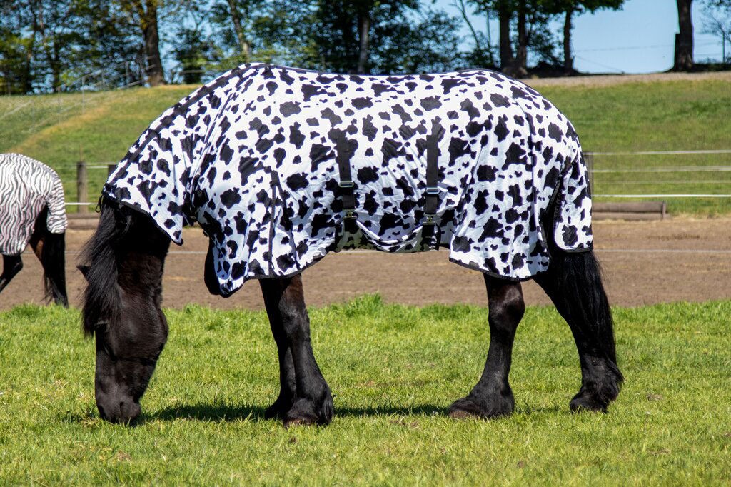 Cow Fly Rug with Neck - Horse Fly Sheet