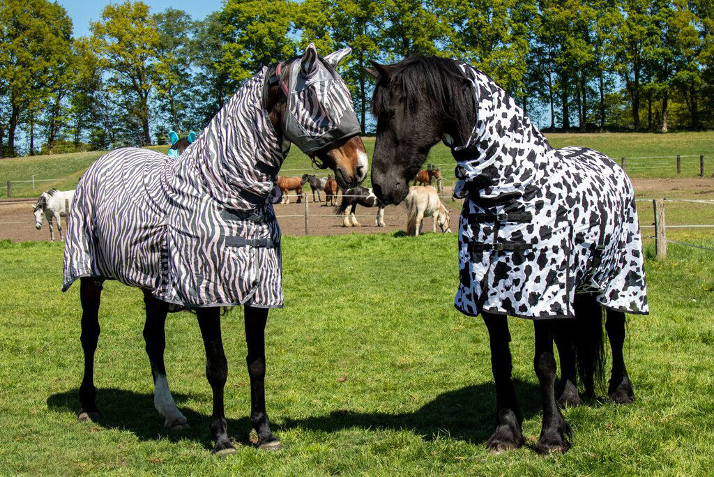 Cow Fly Rug with Neck - Horse Fly Sheet