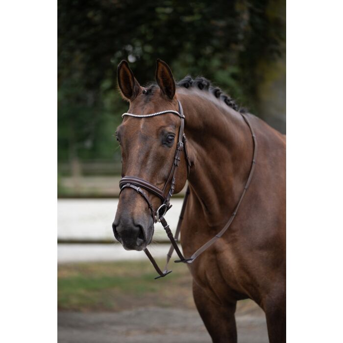 Mia Bridle - Elegant Leather Horse Bridle