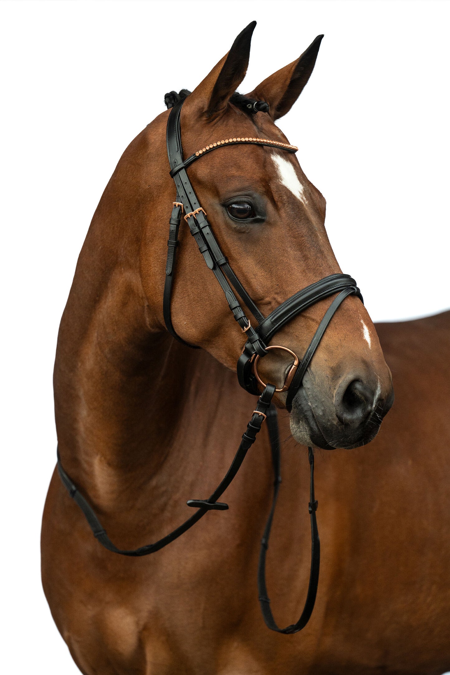 Rosegold Glamour Style Bridle - Elegant Leather Horse Bridle
