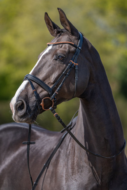 Rosegold Glamour Style Bridle - Elegant Leather Horse Bridle