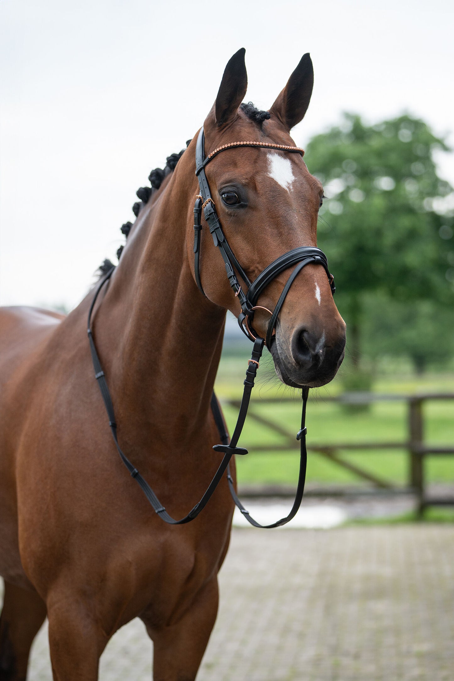 Rosegold Glamour Style Bridle - Elegant Leather Horse Bridle