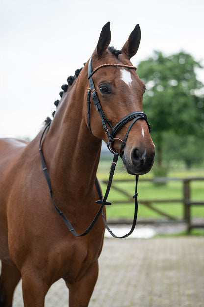 Rosegold Glamour Style Bridle - Elegant Leather Horse Bridle