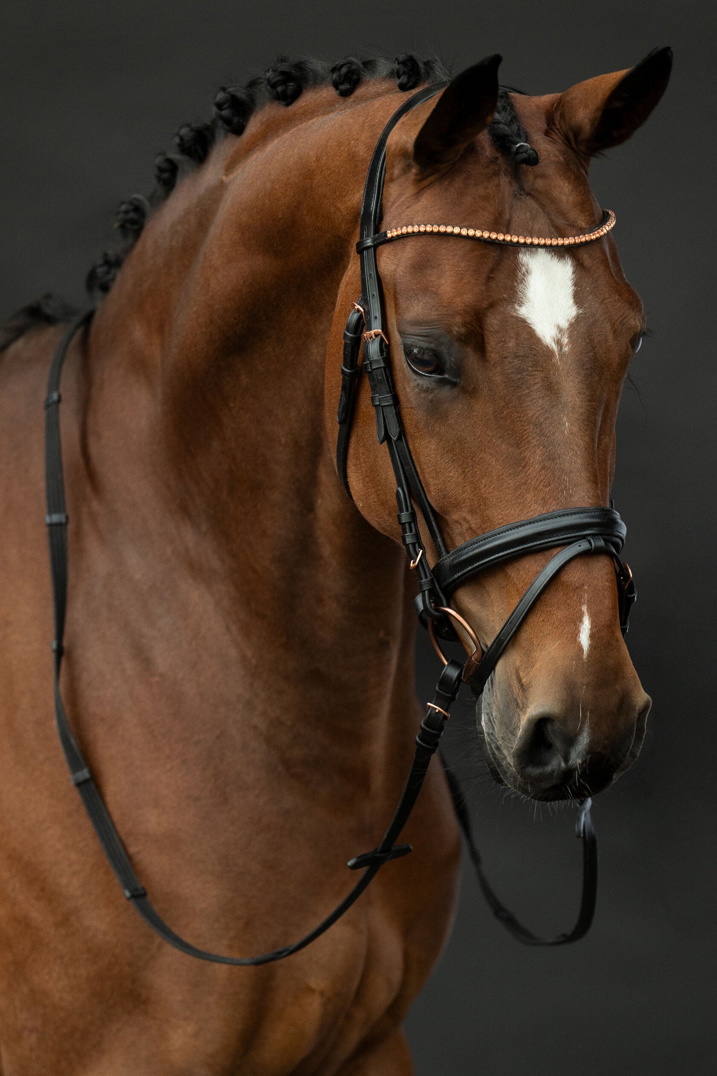 Rosegold Glamour Style Bridle - Elegant Leather Horse Bridle