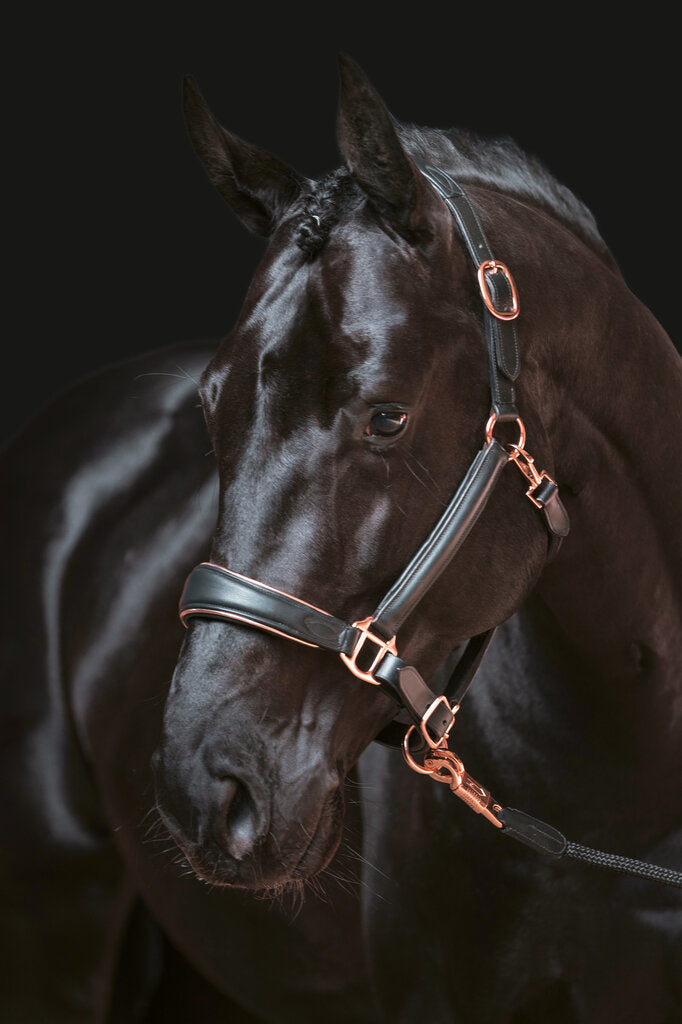 Rosegold Leather Headcollar Full - Elegant Horse Halter