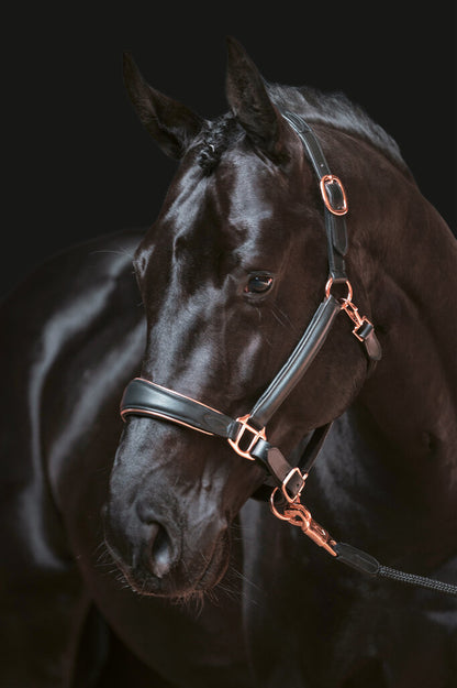 Rosegold Leather Headcollar Full - Elegant Horse Halter