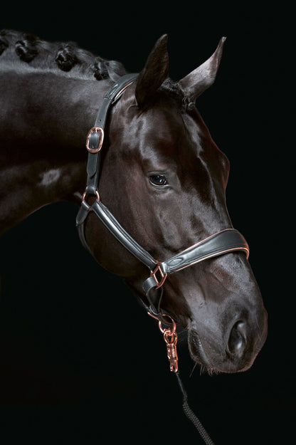 Rosegold Leather Headcollar Full - Elegant Horse Halter