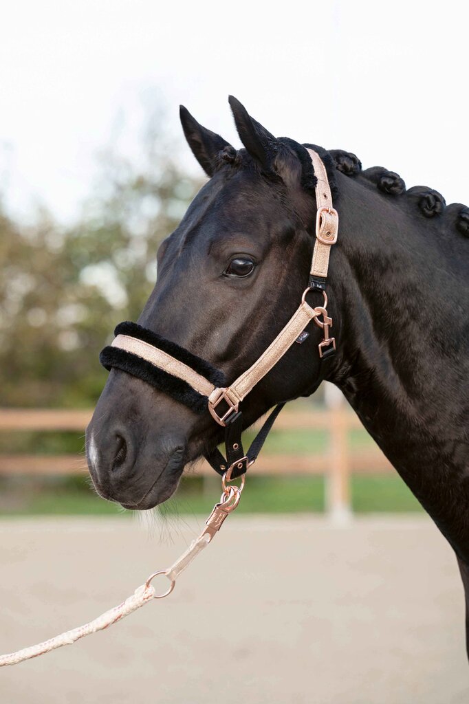 Rosegold Glitter Head Collar with Fur - Soft Padded Horse Headcollar