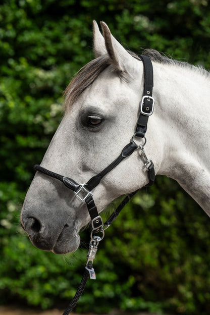 Carlotta Horse Head Collar - Halter for Horses