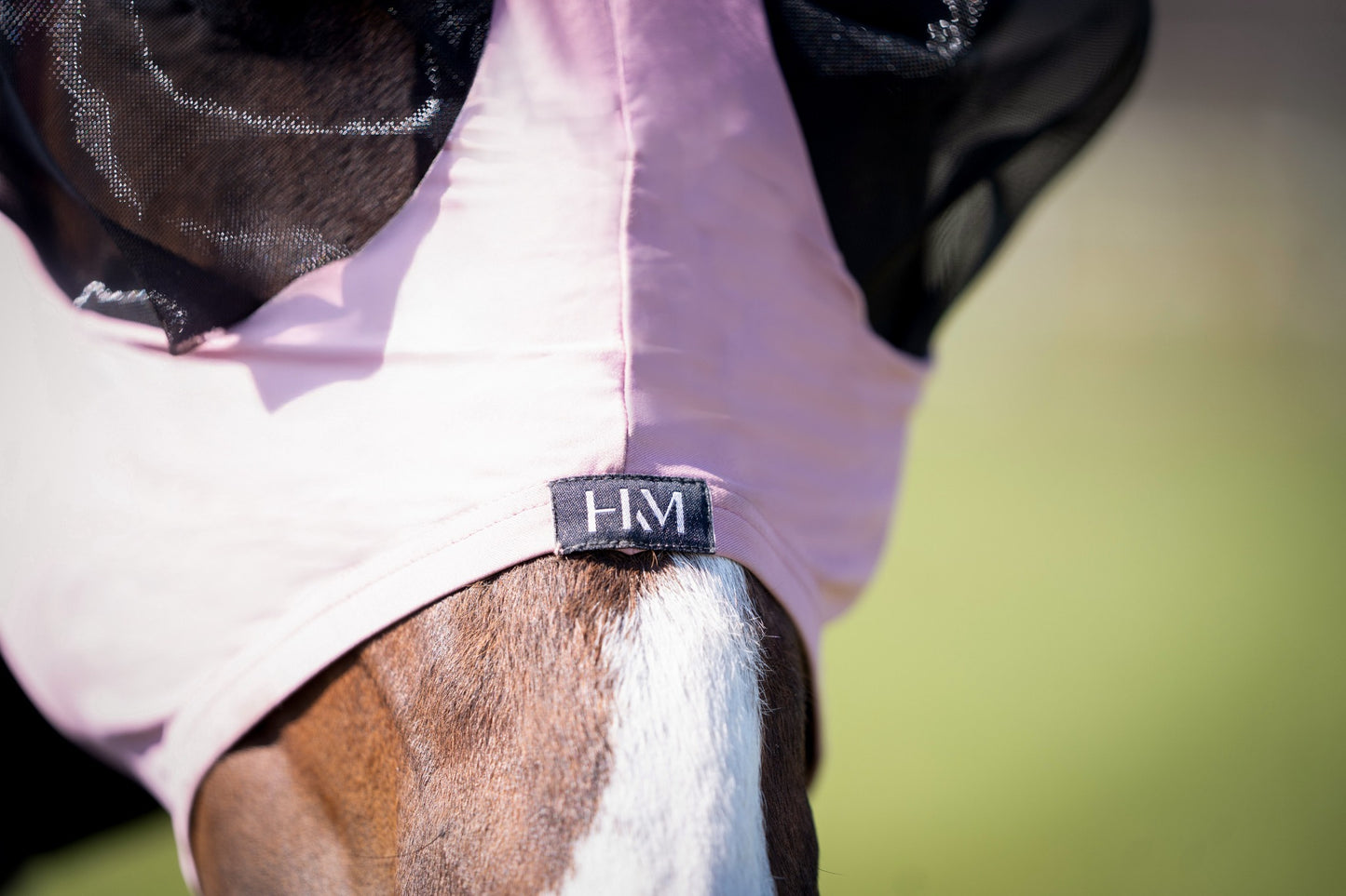 Elastic Anti-Fly Mask - Horse Fly Mask