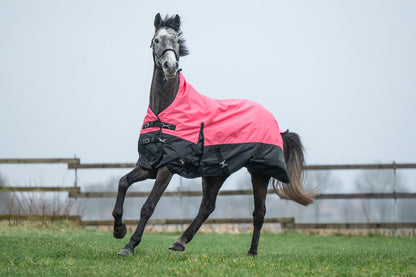 Highneck Rug 600D Light Lining - Waterproof Turnout Rug