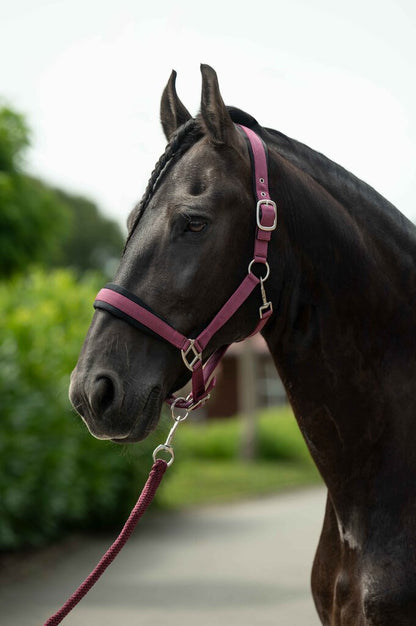 Samantha Head Collar Bordeaux Full - Soft Padded Horse Halter