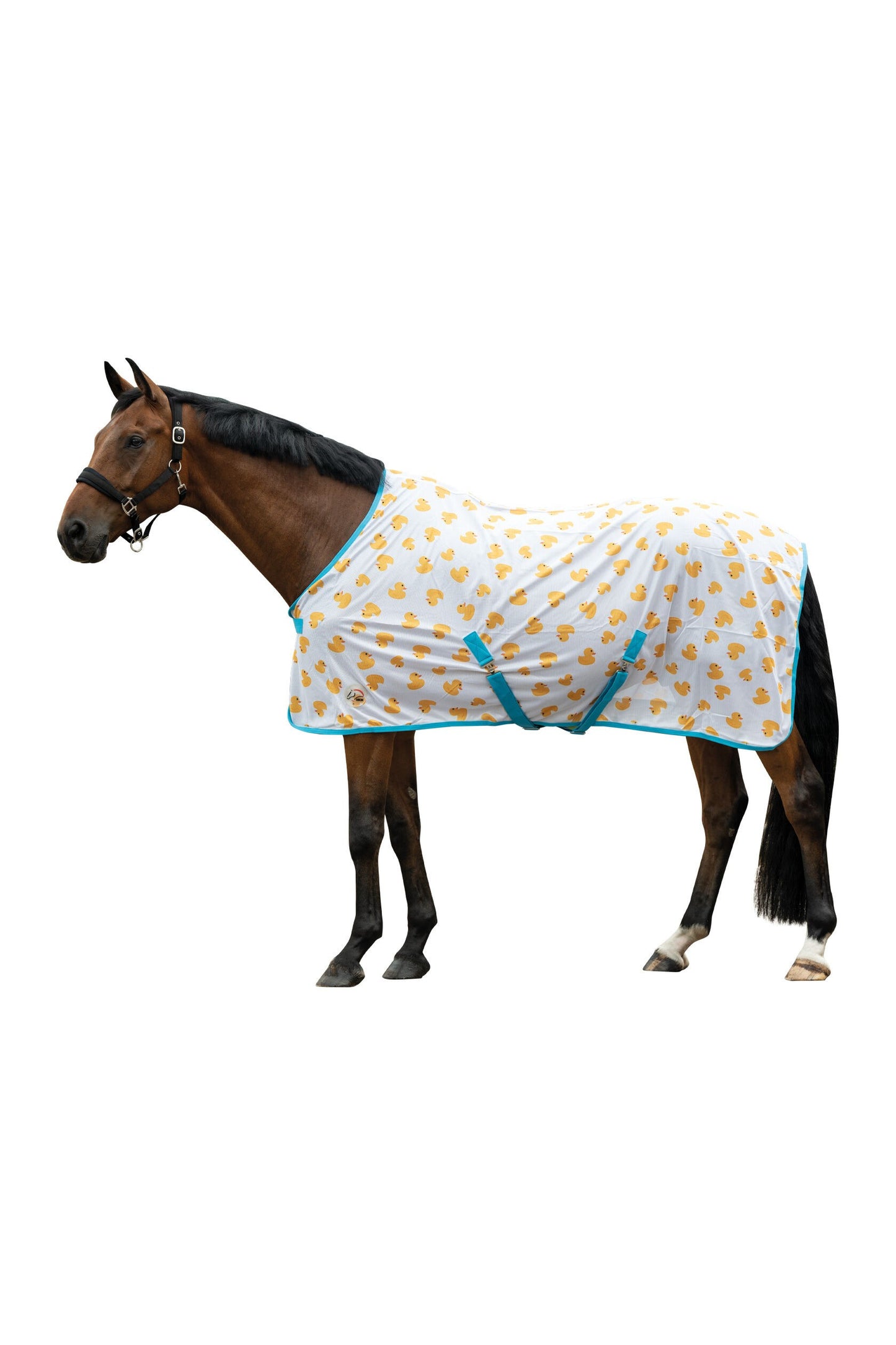 Naples Fly Rug (Duckies) - Horse Fly Sheet