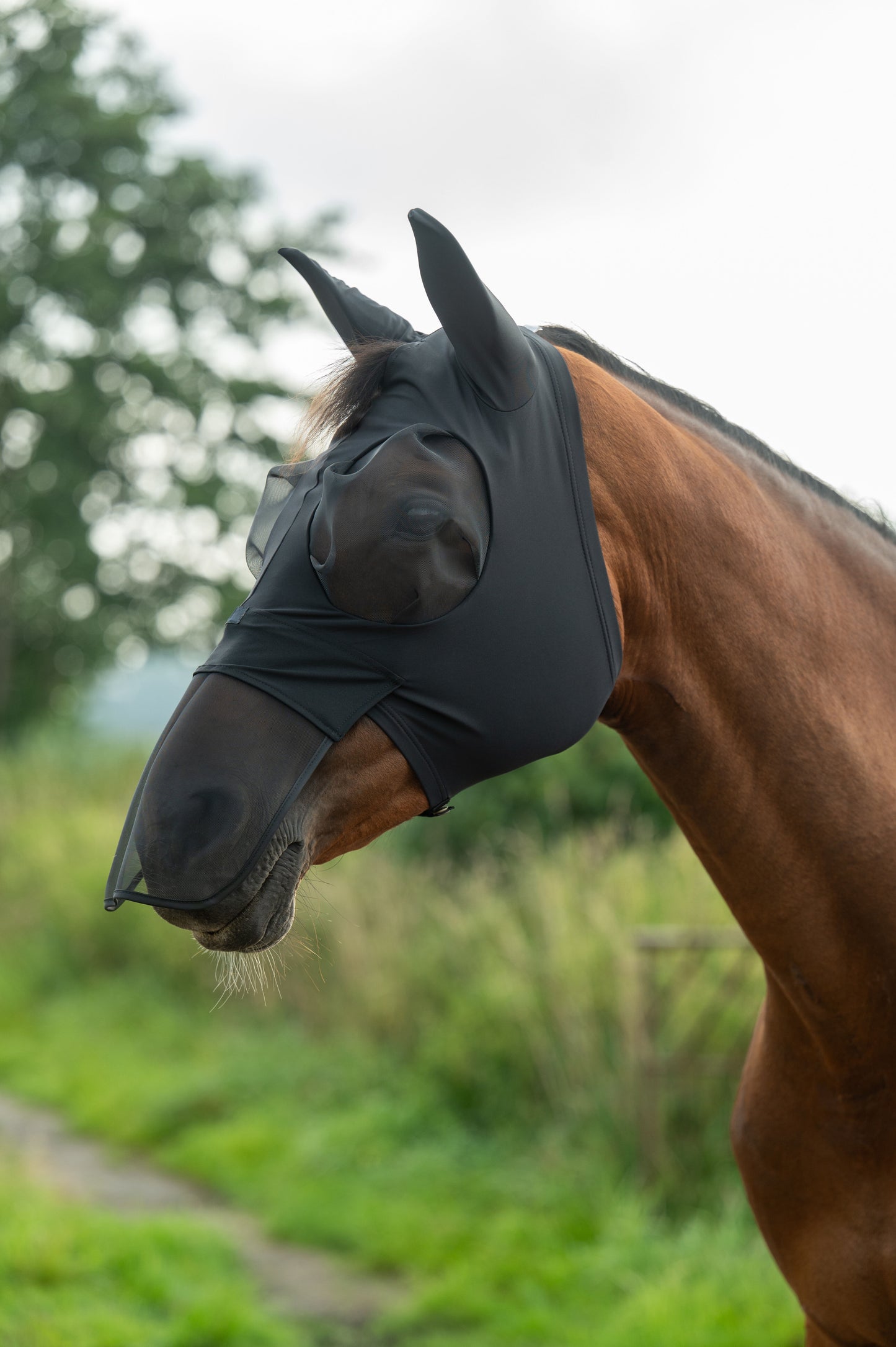 Elastic Anti-Fly Mask With Nose Protection - Horse Fly Mask