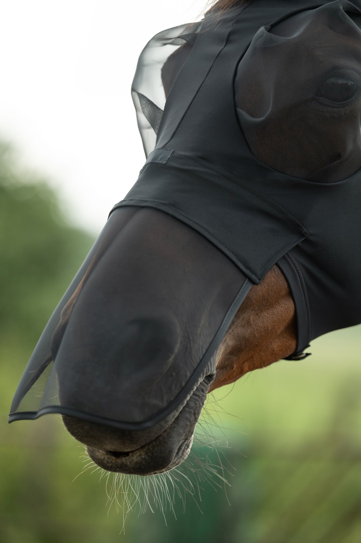Elastic Anti-Fly Mask With Nose Protection - Horse Fly Mask