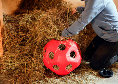 Feed Ball Toy