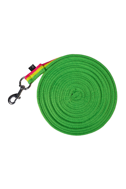 Rainbow Lunge Line - Colourful Horse Lunging Rein