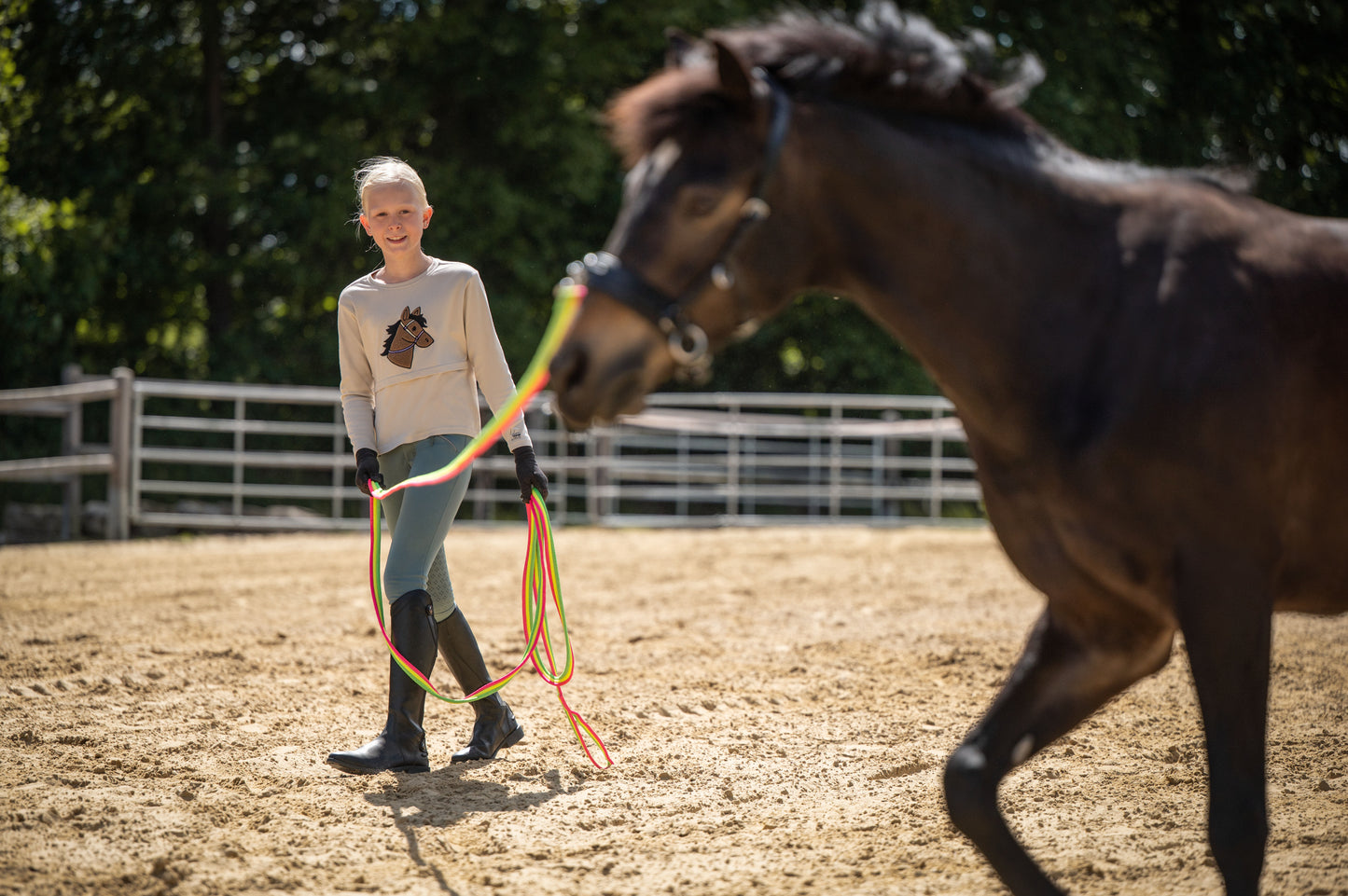 Rainbow Lunge Line - Colourful Horse Lunging Rein