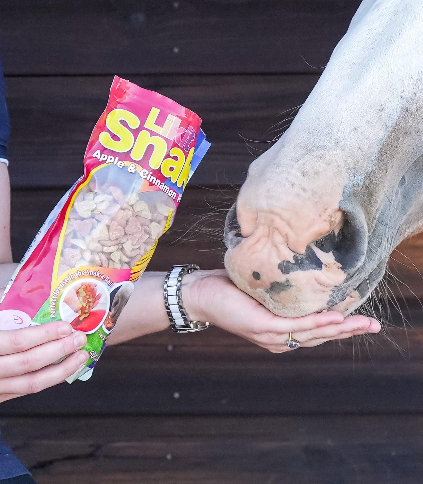 Likit Snaks Apple Cinnamon Horse Treats - 500g