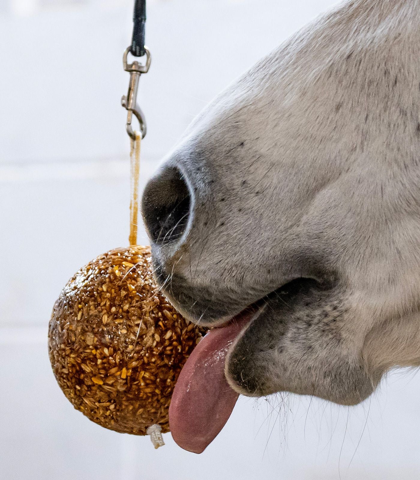 Likit Granola Apple Stall Ball - Horse Treat Toy - 1.6kg