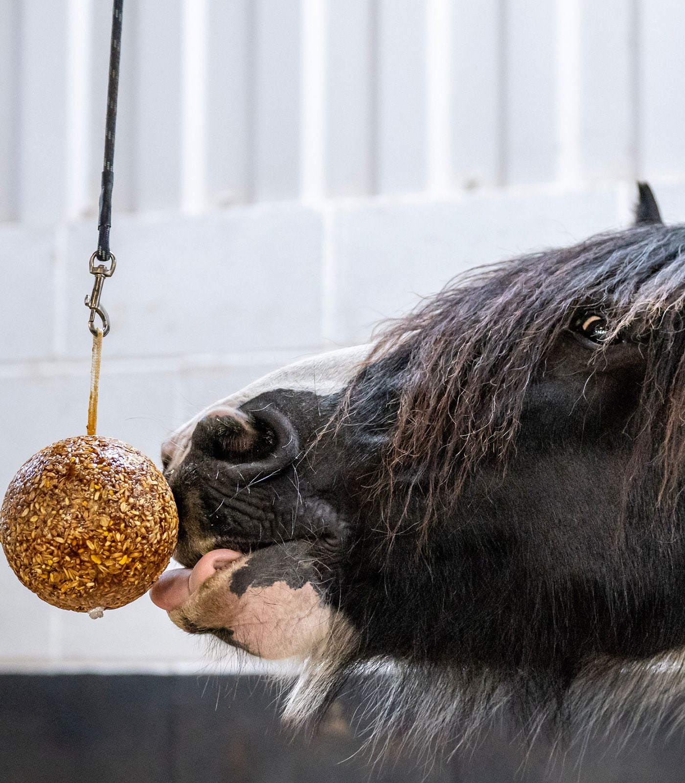 Likit Granola Apple Stall Ball - Horse Treat Toy - 1.6kg