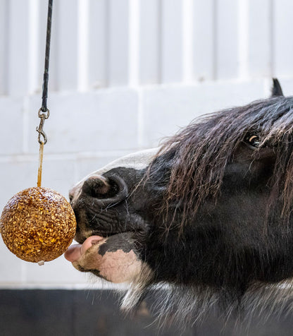 Likit Granola Apple Stall Ball - Horse Treat Toy - 1.6kg